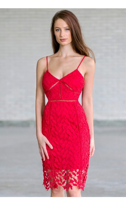 Caitlin Crochet Lace Pencil Dress in Red