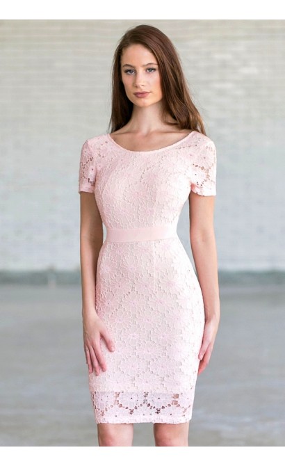 Bygone Era Lace Pencil Dress in Pale Pink/Beige