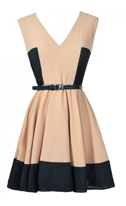Beige and Navy Colorblock Dress, Navy and Taupe A-Line Dress, Navy and Beige Belted Colorblock Dress
