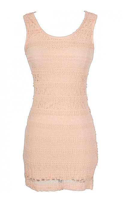Basic Beauty Fitted Lace Dress in Pink