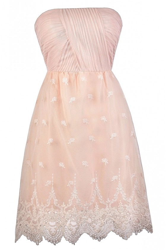 Dainty Embroidery Strapless Mesh Pale Pink Party Dress