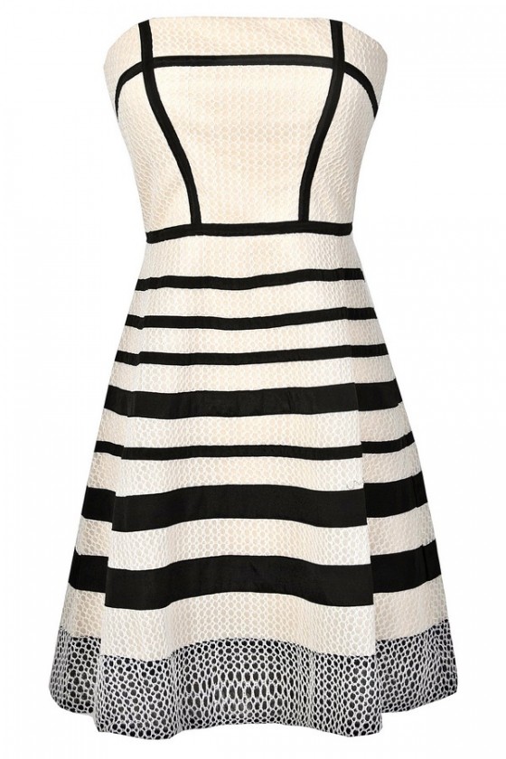 Graphic Lines Ivory and Black A Line Dress