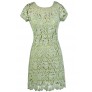 Lime Sage Green Crochet Lace Dress, Green Crochet Lace Summer Dress, Lime Sage Green Lace Dress, Green Crochet Lace Sheath Dress