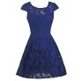 Bright Blue Party Dress, Royal Blue A-Line Dress, Bright Blue Capsleeve Embroidered Dress