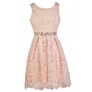 Cute Pink Dress, Pink Lily Boutique Lace Dress, Pink Lace Bridesmaid Dress