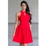 red party dress, holiday dress