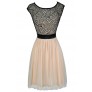 Black and Beige Lace Dress, Black and Beige Tulle and Lace Dress, Black and Beige A-Line Dress, Black and Beige Party Dress