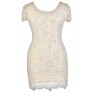 Beige Plus Size Dress, Plus Size Pencil Dress, Plus Size Lace Dress, Beige Lace Pencil Dress, Beige Plus Size Capsleeve Lace Dress