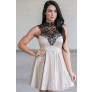 Beige and Black Lace Dress Online, Cute Fall Dress, Cute Summer Dress, High Neck Lace Dress