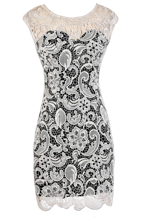 1456 Black Beige Lace Net Dress