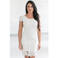 Calyn Crochet Lace Capsleeve Pencil Dress in Ivory