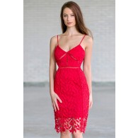 Caitlin Crochet Lace Pencil Dress in Red