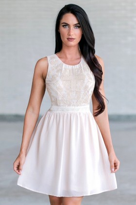 Amanda Embroidered and Embellished A-Line Dress in Cream Blush