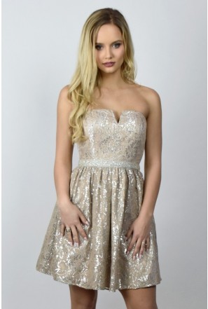 Great Gatsby Dresses Roaring 20s Dresses Beaded Sequin Dresses